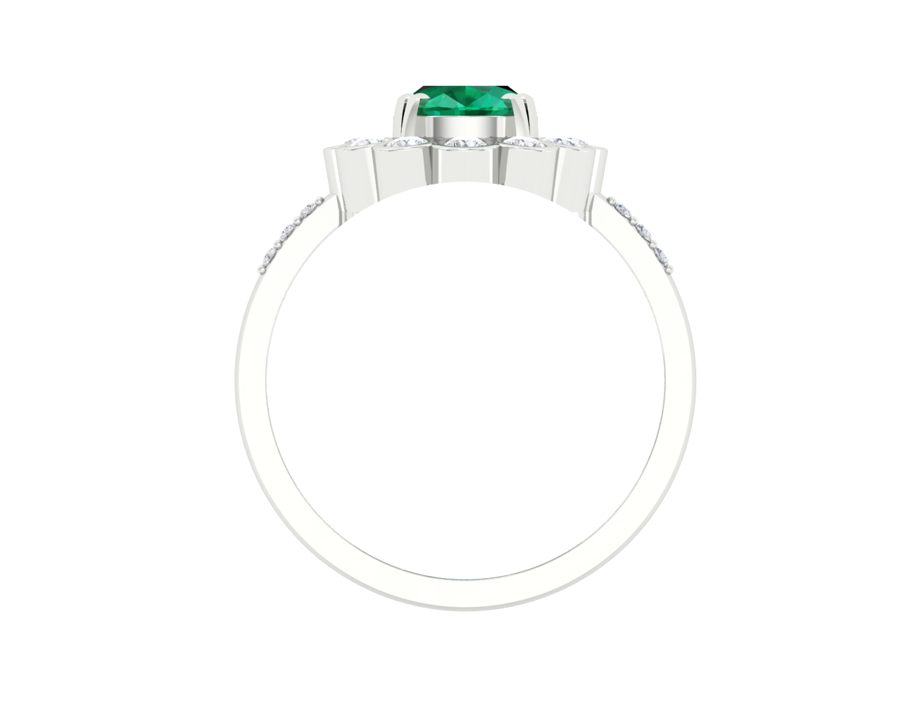 VJ-2025012412725